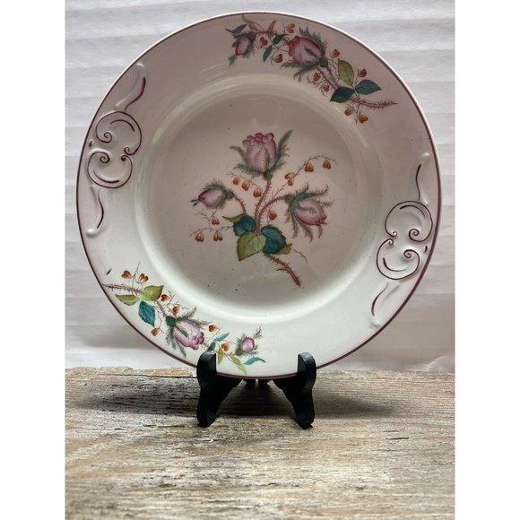 Moss Rose Ironstone 1890 - 1920 DINNER PLATE Beautiful Cottagecore Piece - Picture 2 of 12